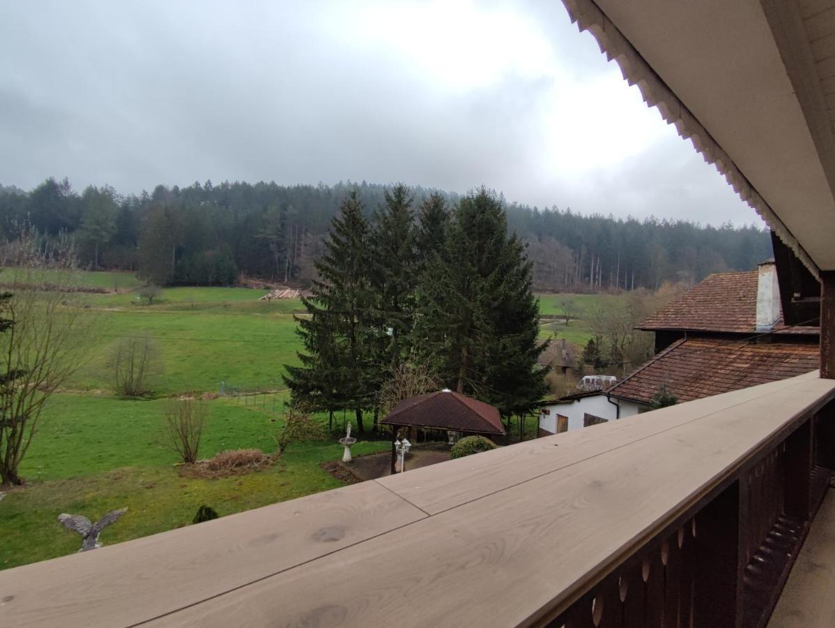 Geraeumige Wohnung Im Schwarzwald Seelbach  Extérieur photo